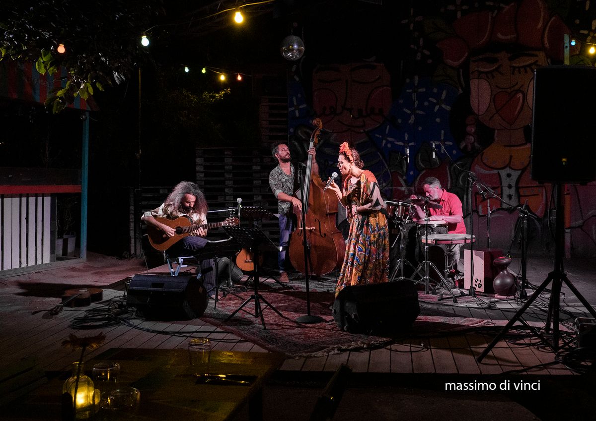 Singin' Woods performing on stage at night