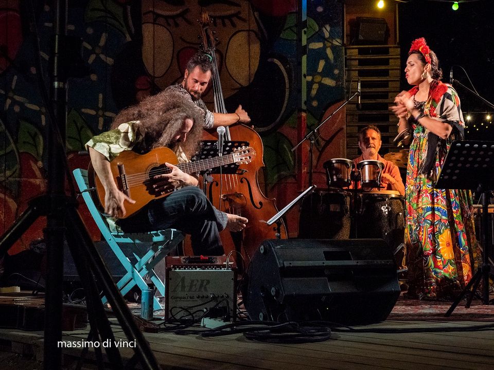 Singin' Woods — live performance