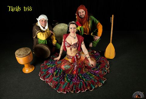 Tarab Trio portrait with instruments